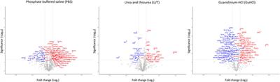 Aged gastrocnemius muscle of mice positively responds to a late onset adapted physical training